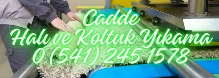 Cadde Halı ve Koltuk Yıkama