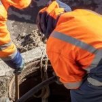 1rögar, rögar ne demek, rögarlar