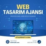 web tasarım firması 12